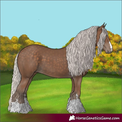 Horse Color:Silver Black 