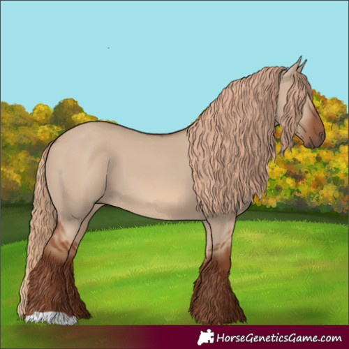 Horse Color:Red Dun 