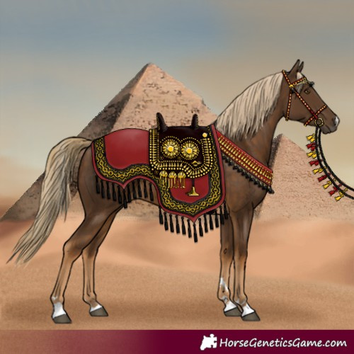 Horse Color:Chocolate Palomino 