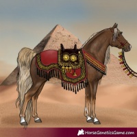 Horse Color:Chocolate Palomino 
