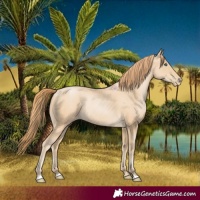Horse Color:Smoky Black Pearl 
