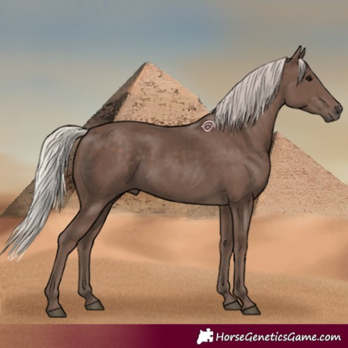 Horse Color:Silver Black