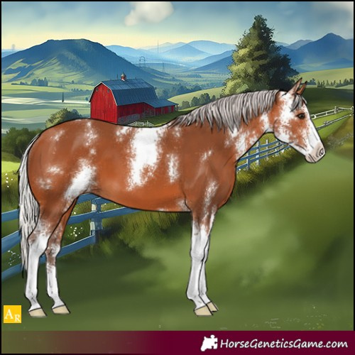 Horse Color:Silver Bay Sabino 