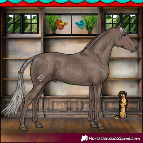 Horse Color:Silver Black 
