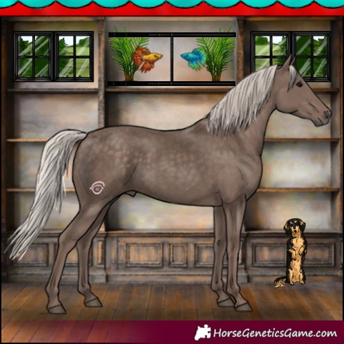 Horse Color:Silver Black 
