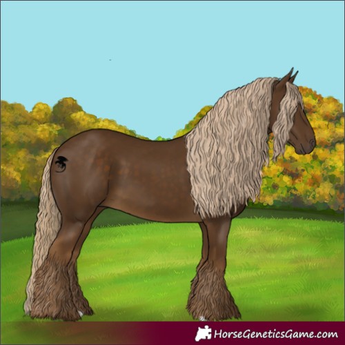 Horse Color:Chocolate Palomino 