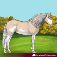 Horse Color:Silver Classic Champagne Dun Splash Frame 
