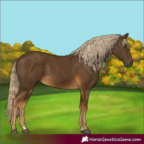 Horse Color:Chocolate Palomino 