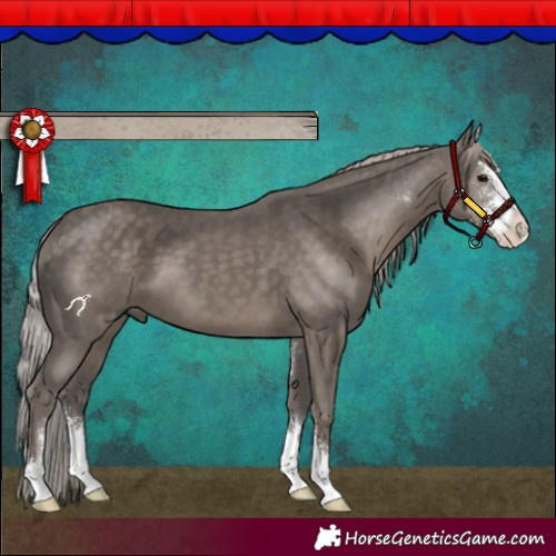 Horse Color:Silver Black Sabino 