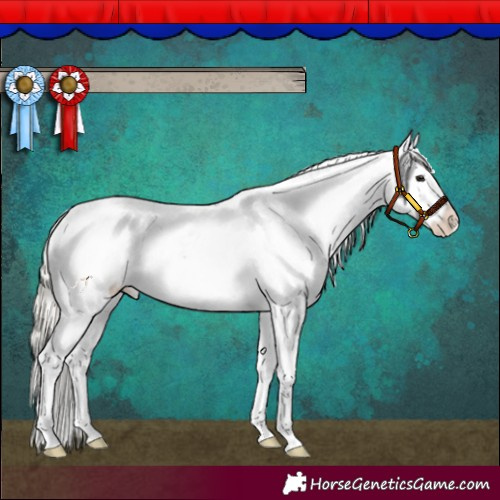 Horse Color:Silver Smoky Black Sabino Appaloosa 