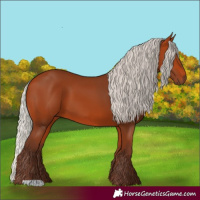 Horse Color:Silver Bay 
