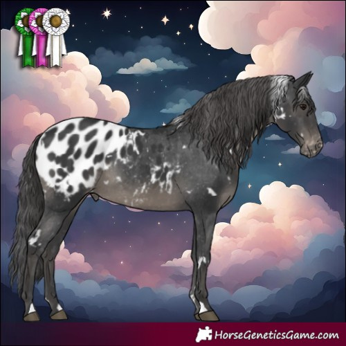 Horse Color:White Spotted Black Blanket 
