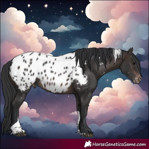 Horse Color:Brown Tobiano Near Leopard
