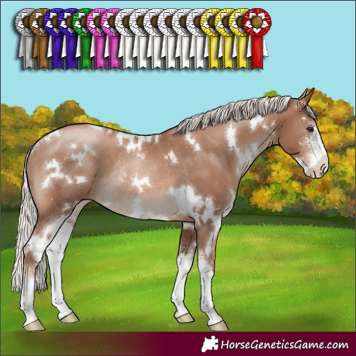 Horse Color:White Spotted Silver Black Pearl Sabino Rabicano 