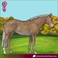Horse Color:Silver Smoky Black Rabicano 