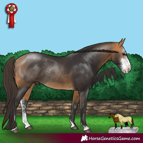 Horse Color:Buckskin Sabino Rabicano 