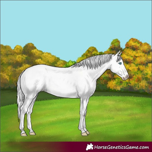 Horse Color:Silver Smoky Creme Dun