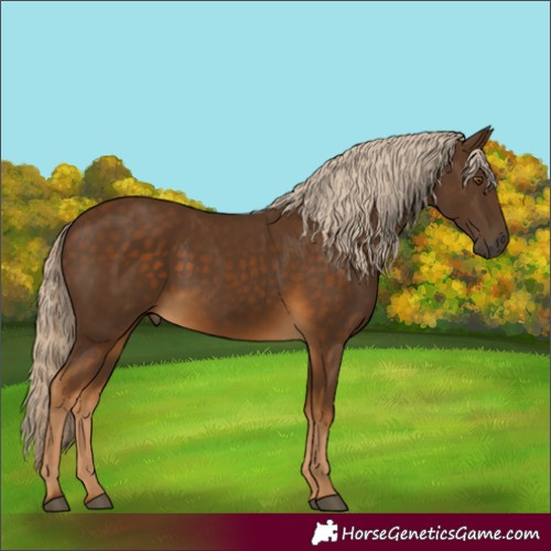 Horse Color:Chocolate Palomino
