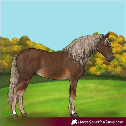 Horse Color:Chocolate Palomino