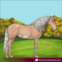 Horse Color:Silver Amber Champagne Frame 