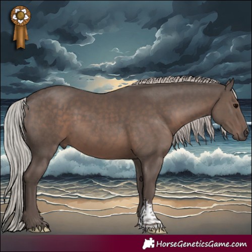 Horse Color:Silver Black Mushroom Sabino 