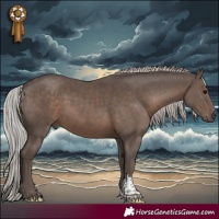 Horse Color:Silver Black Mushroom Sabino