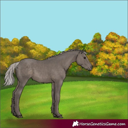 Horse Color:Silver Black Mushroom 