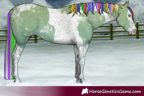 Horse Color:Platinum Painted Perlino Splash Tobiano 