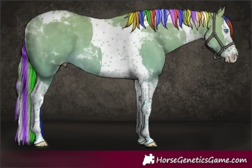 Horse Color:Platinum Painted Perlino Splash Tobiano 