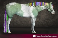 Horse Color:Platinum Painted Perlino Splash Tobiano