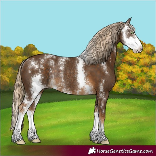 Horse Color:Chocolate Palomino Sabino Rabicano