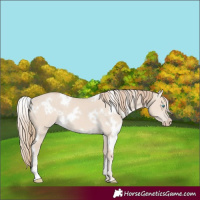 Horse Color:White Spotted Smoky Creme Dun 