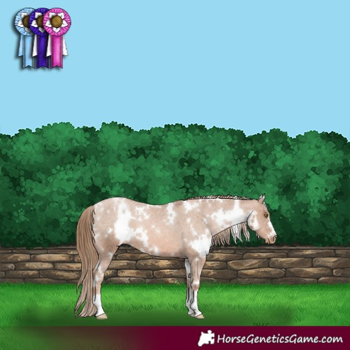 Horse Color:White Spotted Liver Chestnut Pearl Varnish 