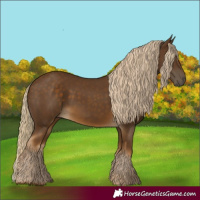 Horse Color:Chocolate Palomino