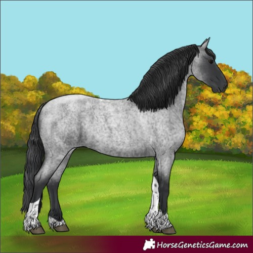 Horse Color:Blue Roan Tobiano 