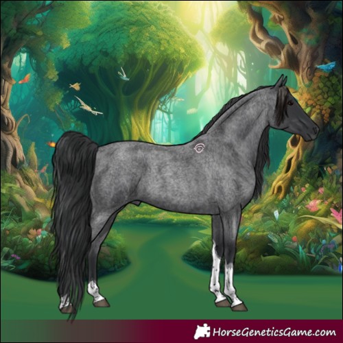 Horse Color:Blue Roan Tobiano 