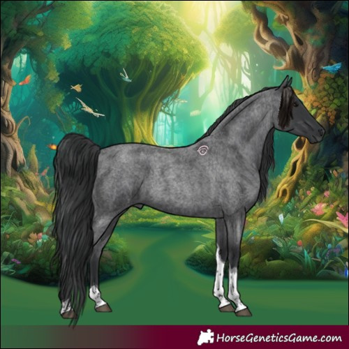 Horse Color:Blue Roan Tobiano 