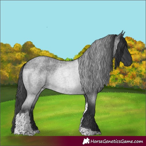 Horse Color:Blue Roan Tobiano 