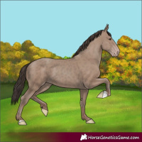 Horse Color:Classic Champagne 