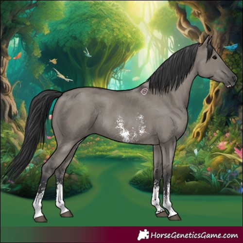 Horse Color:Grullo Sabino Rabicano