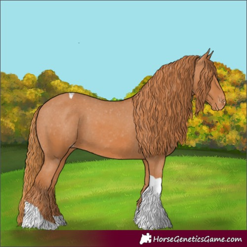 Horse Color:Chestnut Tobiano Appaloosa 