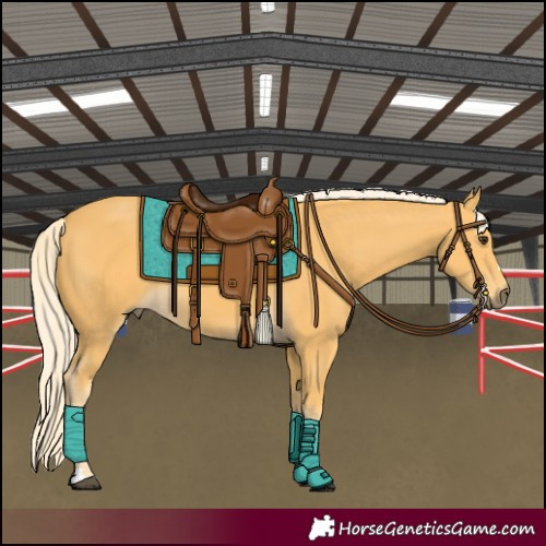 Horse Color:Palomino 