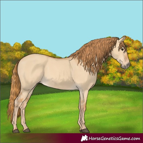 Horse Color:Red Dun 