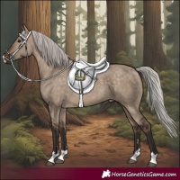Horse Color:Silver Brown Dun