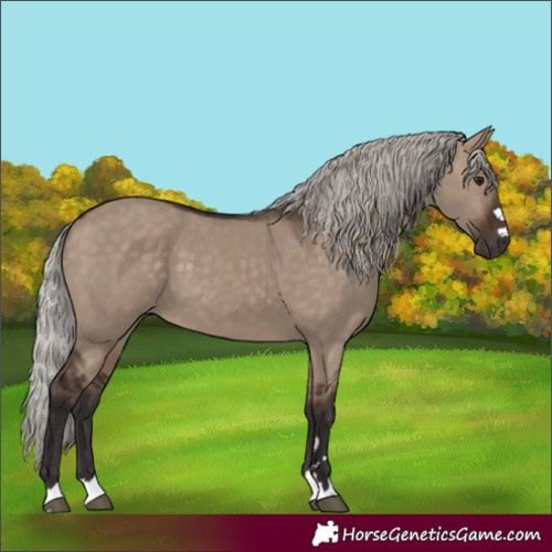 Horse Color:Silver Brown Dun 