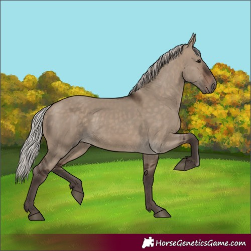 Horse Color:Silver Brown Dun 