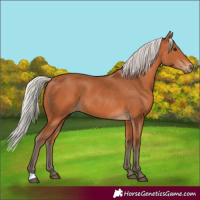 Horse Color:Silver Bay
