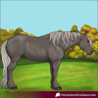 Horse Color:Silver Black 
