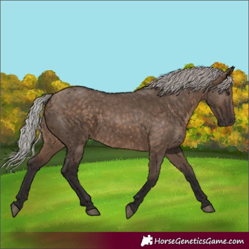Horse Color:Silver Brown Dun 