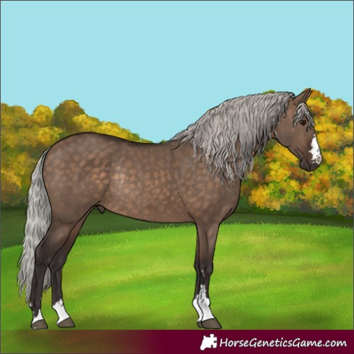 Horse Color:Silver Brown Dun Rabicano 